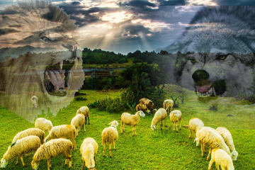 Bài học về quản lý con người từ câu chuyện Nhà vua và bầy cừu
